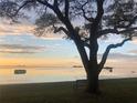 Calm water view featuring a large tree in the foreground and buildings visible in the distance at 2700 Bayshore Blvd # 519, Dunedin, FL 34698
