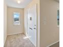 Inviting front entrance featuring neutral tones, carpet flooring, and a storm door at 703 Bel Air Ave, Sun City Center, FL 33573