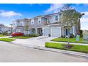 View of light-blue two-story townhomes, showing well-manicured lawns and neat driveways at 2265 Alee Ln, Wesley Chapel, FL 33543