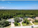 Panoramic aerial view showcasing the home's location near a tranquil lake and surrounded by mature trees at 4848 Quill Ct, Palm Harbor, FL 34685