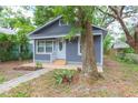 Grey bungalow-style home with a new landscape, featuring a large tree on the right at 8008 N Alaska St, Tampa, FL 33604