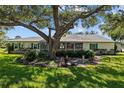 Spacious backyard featuring a large shade tree, patio area, and peaceful outdoor setting at 3204 40Th S Way # B, St Petersburg, FL 33711