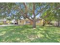 Expansive front yard features a mature shade tree offering curb appeal to the cozy home at 3214 W Rogers Ave, Tampa, FL 33611
