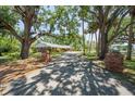 Tree-lined driveway with brick pillars leading to a quaint home surrounded by mature, shade-giving trees at 4315 W Azeele St, Tampa, FL 33609