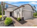 Inviting front entrance with a brick-paved walkway and manicured landscaping at 9908 Spice Bush Ct, Tampa, FL 33647