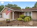 Exterior of a well-kept home featuring mature landscaping and an American flag at 1686 Spottswood Cir, Palm Harbor, FL 34683