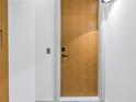 Modern condo front door with matte black handle and peephole, white trim, and light wood finish at 777 3Rd N Ave # 707, St Petersburg, FL 33701