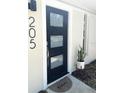 Close-up of a modern black front door with glass panes, complemented by stylish house numbers and a potted plant at 205 Park Ridge Ave, Temple Terrace, FL 33617
