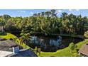 Secluded backyard view featuring large pond surrounded by mature trees and a lush green lawn at 3579 Landmark Trl, Palm Harbor, FL 34684