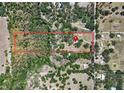 Sprawling lot with lush trees, surrounded by greenery, as shown in this aerial view at 5870 Jim Davis Rd, Parrish, FL 34219