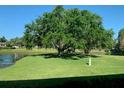 A peaceful view of the green backyard and lake at 776 Lakewood Dr, Palm Harbor, FL 34684