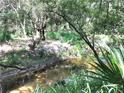 Scenic creek flowing through a wooded area, showcasing the natural beauty of the property at 9724 Hermit Hollow Ln, Gibsonton, FL 33534
