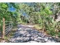 A long, private driveway leading to the home, surrounded by lush greenery and mature trees at 9724 Hermit Hollow Ln, Gibsonton, FL 33534