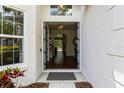 View from the front door looking into the foyer that leads to the staircase and the rest of the house at 10142 Deercliff Dr, Tampa, FL 33647