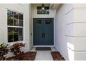 Close up of the home's double door front entrance, accompanied by a window and beautiful landscaping at 10142 Deercliff Dr, Tampa, FL 33647