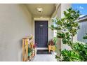 Charming front porch with stylish decor and a welcoming entrance, enhanced by lush greenery at 10936 Rainbow Pyrite Dr, Wimauma, FL 33598