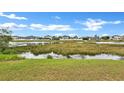 Scenic pond view surrounded by marsh grasses and neighborhood homes, offering a peaceful setting at 10936 Rainbow Pyrite Dr, Wimauma, FL 33598