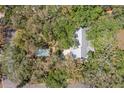 Aerial view showcasing the home with a pool, surrounded by lush greenery, providing a private oasis at 187 Sage Cir, Crystal Beach, FL 34681