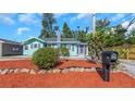 View of a landscaped front yard with a black mailbox, rocks, and mulch, set against a backdrop of a charming home at 2016 Douglas Ave, Clearwater, FL 33755