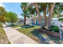Inviting exterior view of a cozy home with lush palm trees and sidewalk at 212 28Th S St, St Petersburg, FL 33712