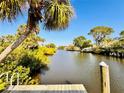 Scenic canal view from a wooden dock with mangroves, palms, and neighboring homes along the tranquil waterway at 754 Seminole Blvd, Tarpon Springs, FL 34689