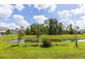 Scenic backyard view with a serene pond, lush greenery, and beautiful landscaping at 9660 Sweetwell Pl, Riverview, FL 33569