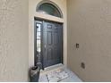 Close-up of the elegant black front door with sidelights, adorned with a decorative welcome mat at 2452 Big Pine Dr, Holiday, FL 34691