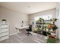 Well-lit office space with a modern desk and shelving for plants at 1304 Tahitian Sunrise Dr, Plant City, FL 33565