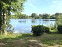 Scenic lake view with lush greenery and trees on the shore at 1894 Union St, Clearwater, FL 33763