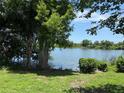 Beautiful lake view from the property with lush greenery and clear blue water at 1894 Union St, Clearwater, FL 33763