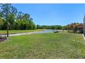 The home backs up to a pond and a grassy lawn at 27318 Sora Blvd, Wesley Chapel, FL 33544