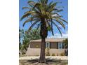 Exterior elevation featuring lush tropical landscaping and a stucco facade at 8004 25Th W Ave, Bradenton, FL 34209