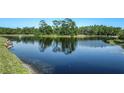 Scenic view of a tranquil pond reflecting trees and blue sky, enhancing the community's peaceful setting at 8116 Sanguinelli Rd, Land O Lakes, FL 34637