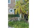 Charming front door with lush landscaping and mature palm trees at 9508 Ashburn Creek Ln, Tampa, FL 33610