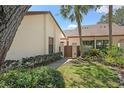 Landscaped home featuring mature palms and green lawn at 14926 Feather Cove Rd, Clearwater, FL 33762