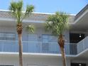 Condo exterior featuring two palm trees by the balcony, with light blue railings and white door with the unit number at 2001 World Parkway Blvd # 49, Clearwater, FL 33763