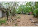 Backyard with bamboo shoots, wood debris, foliage and other unidentified materials in need of maintenance at 3027 W Helen Ave, Tampa, FL 33611