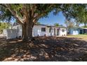 Exterior view of a single story home with white brick and an expansive, shady front yard at 704 E 114Th Ave, Tampa, FL 33612