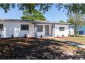 Charming single-story home with a freshly painted white brick facade and refreshed landscaping at 704 E 114Th Ave, Tampa, FL 33612