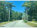 Palm tree lined street leads to luxury homes in a beautiful Florida neighborhood at 476 Denise St, Tarpon Springs, FL 34689