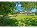Expansive backyard featuring a lush green lawn and mature trees, offering a serene and private outdoor space at 6901 Arabian Rd, Odessa, FL 33556