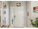 Inviting entryway featuring a white front door with sidelight window, complemented by stylish decor and plants at 6910 Rock Springs Way, Tampa, FL 33625