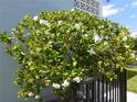 Lush landscaping featuring a flowering bush and a black metal fence outside of the building at 4715 Bay Ne St # 119, St Petersburg, FL 33703