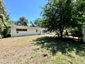 A spacious backyard features a mature tree and fencing at 312 N Manhattan Ave, Tampa, FL 33609