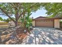 This single-story home has an attached two-car garage and a well-manicured garden bed at 601 Cedar Grove Dr, Brandon, FL 33511