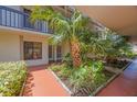 Inviting exterior with lush tropical landscaping creating a private and serene entrance at 6357 Bahia Del Mar Blvd # 111, St Petersburg, FL 33715