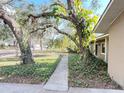 Lush front yard adorned with mature trees and landscaped walkway at 3907 Applegate Cir, Brandon, FL 33511