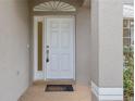 Inviting entrance featuring a classic white door with sidelight window, creating a warm and welcoming atmosphere at 10525 Lucaya Dr, Tampa, FL 33647
