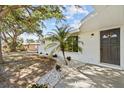 Close-up of the front entrance features a gray front door, white gravel landscaping, and a small palm tree at 1499 Janet Pl, Englewood, FL 34223