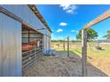 Horse stall with a brown horse looking out, featuring metal and wood construction under a blue sky at 6709 W Knights Griffin Rd, Plant City, FL 33565